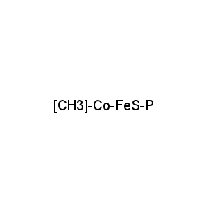 [CH3]-Co-FeS-P